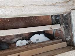 acastle
                          193520.jpg